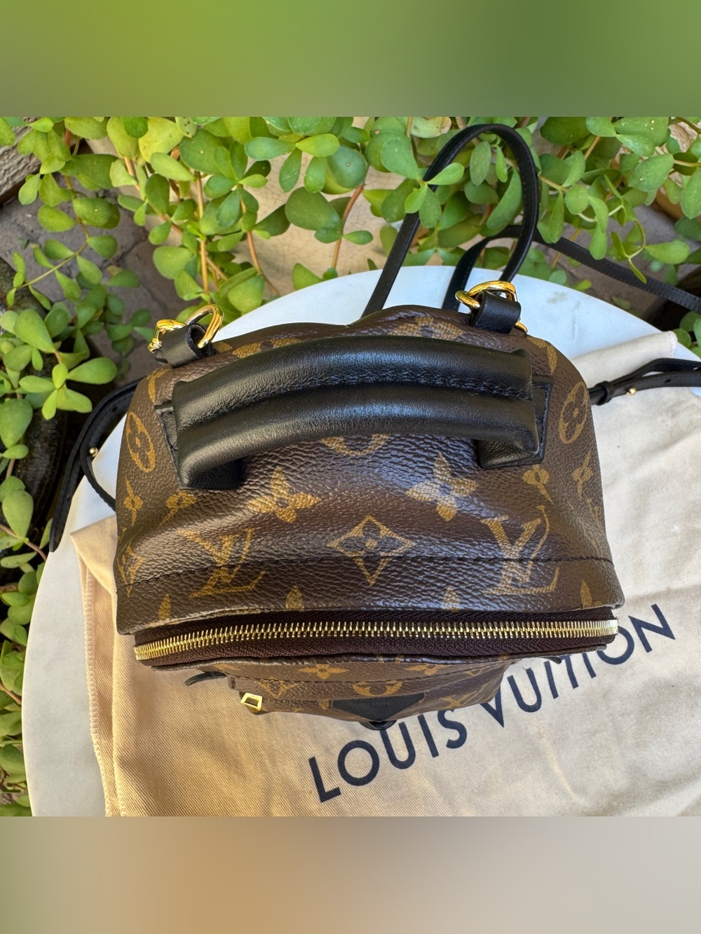 Louis Vuitton Monogram Mini Palm Springs Backpack - Picture 4 of 16